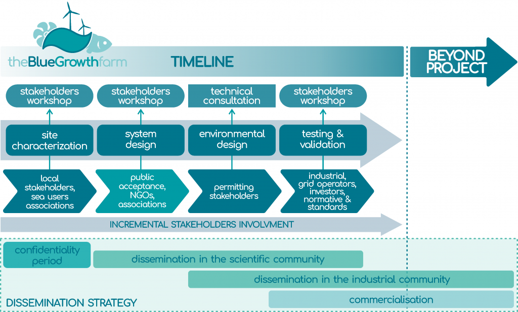 BGF timeline dissemination strategy