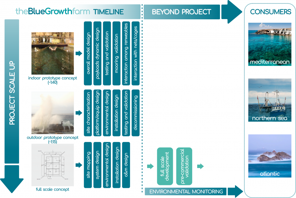 BGF project timeline